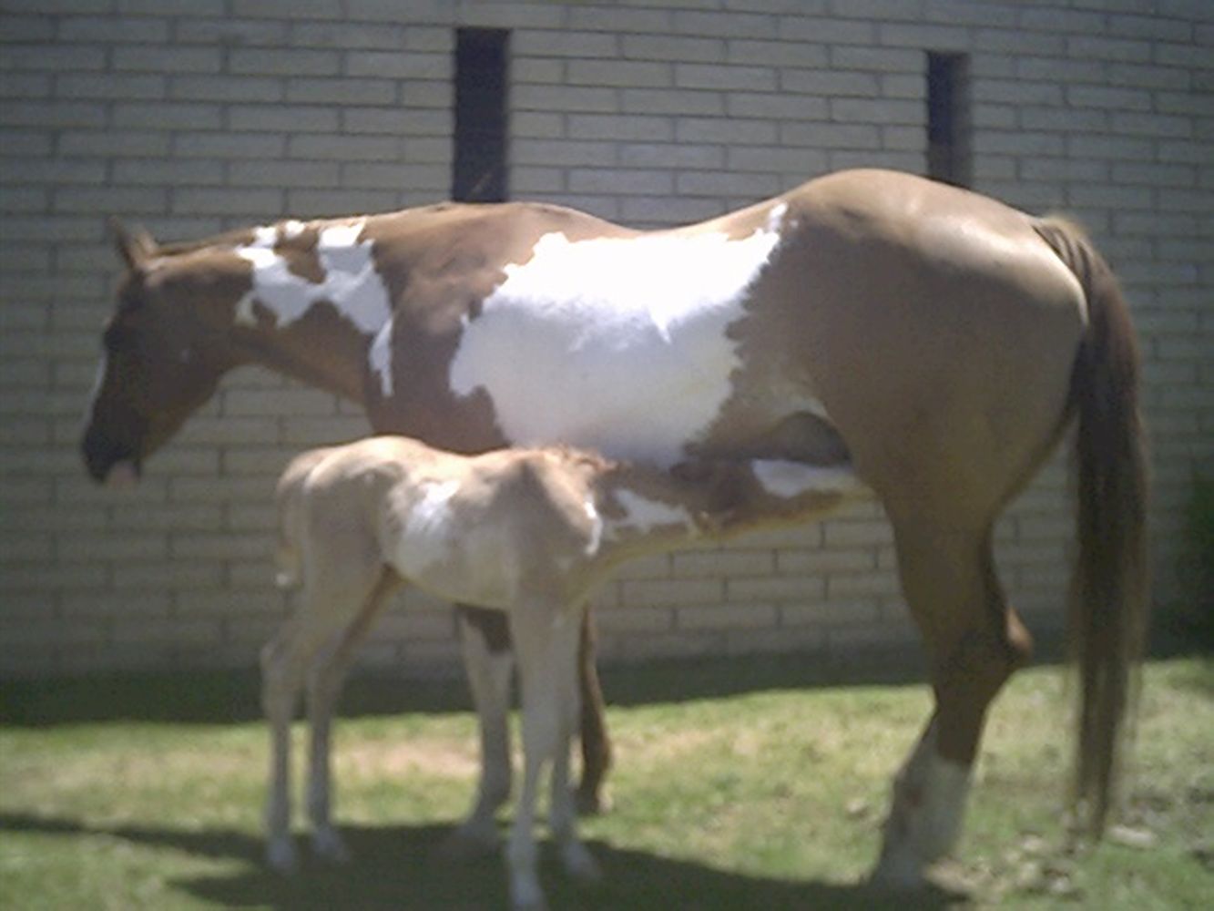 Family Photo